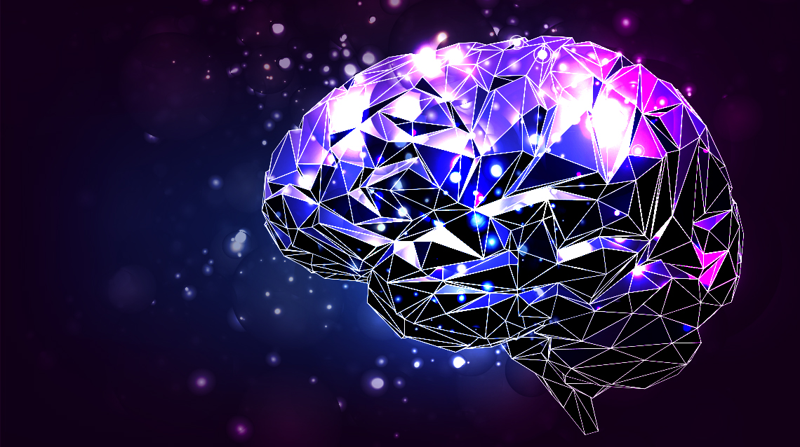 Bridging Neuroscience and Education Through Museum-School Partnerships