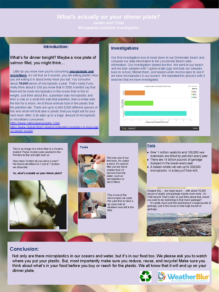 A Northport student’s poster on microplastics.