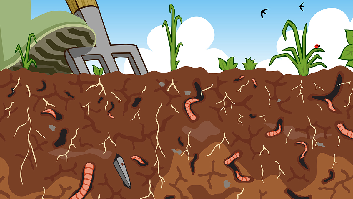 Earthworm Distribution In The Schoolyard Ecosystem NSTA