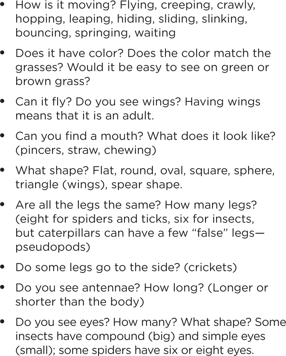 Fair questions to ask for making observations