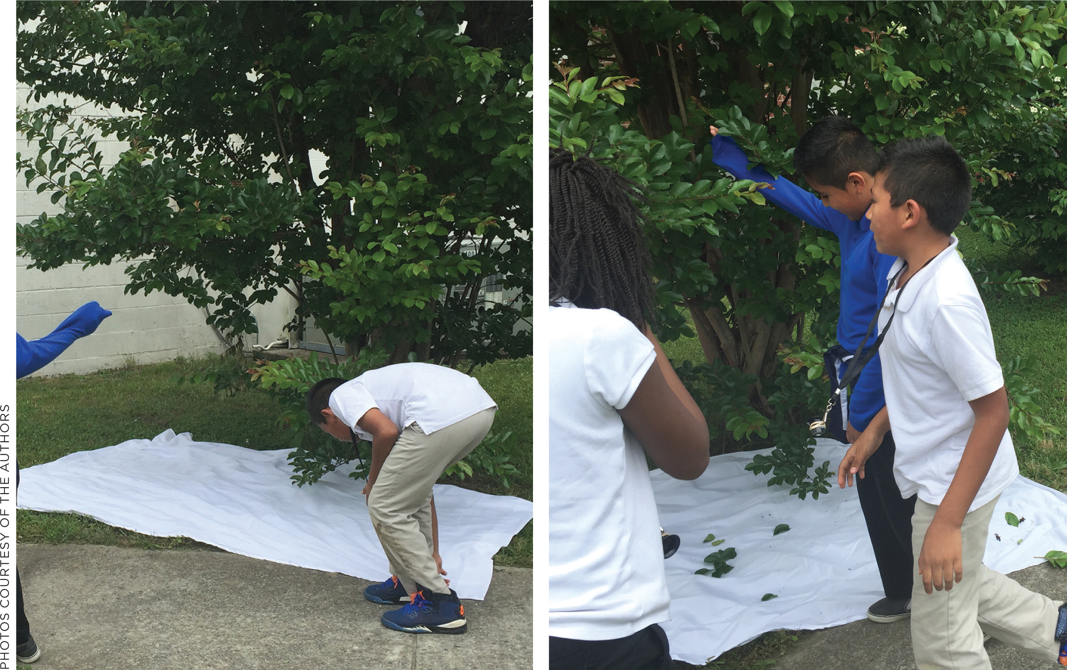 Students set up and explore their outdoor learning environment