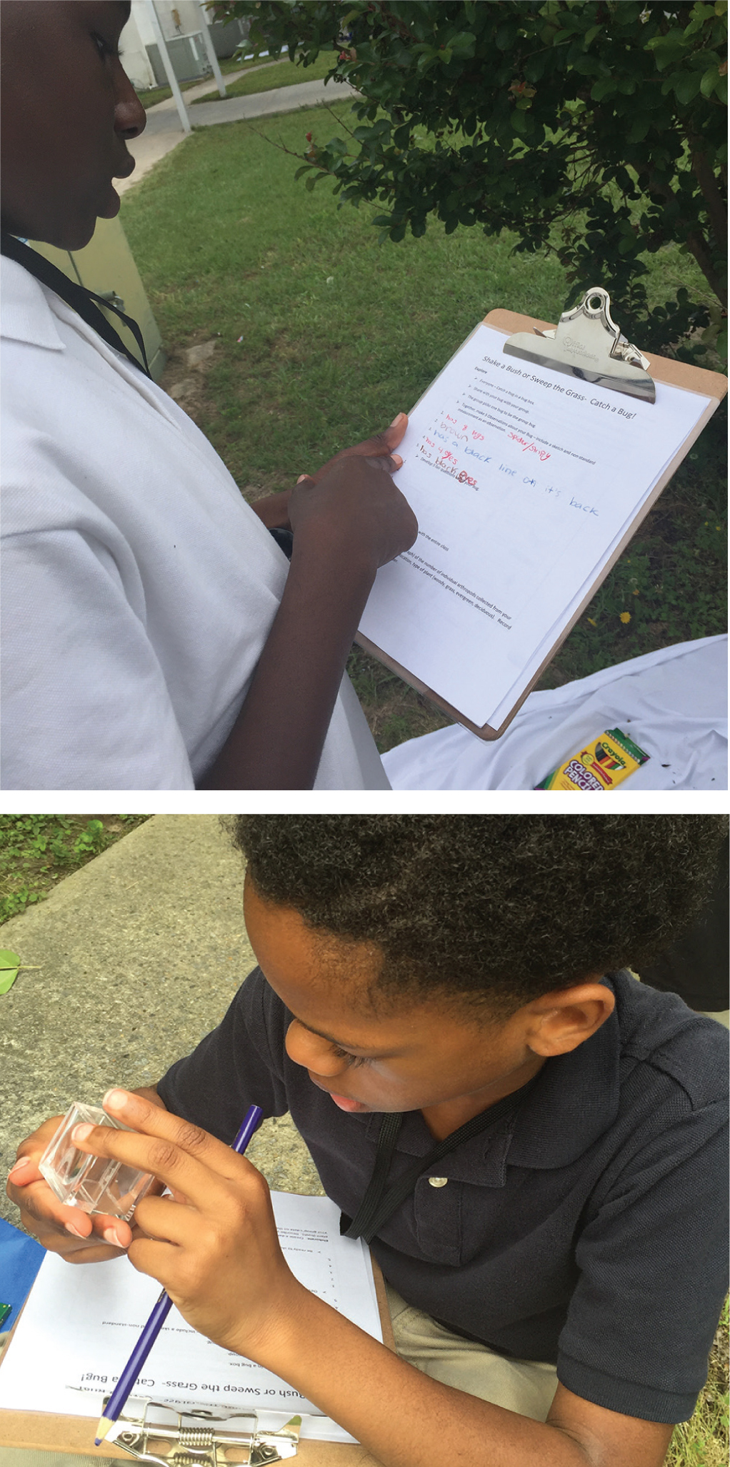 Students record observations (top) and examine collected specimens (bottom).