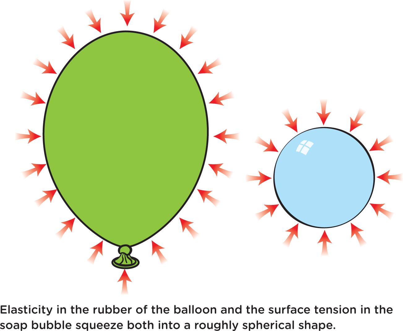 Elasticity in the rubber of the balloon and the surface tension in the soap bubble squeeze both into a roughly spherical shape. Elasticity in the rubber of the balloon and the surface