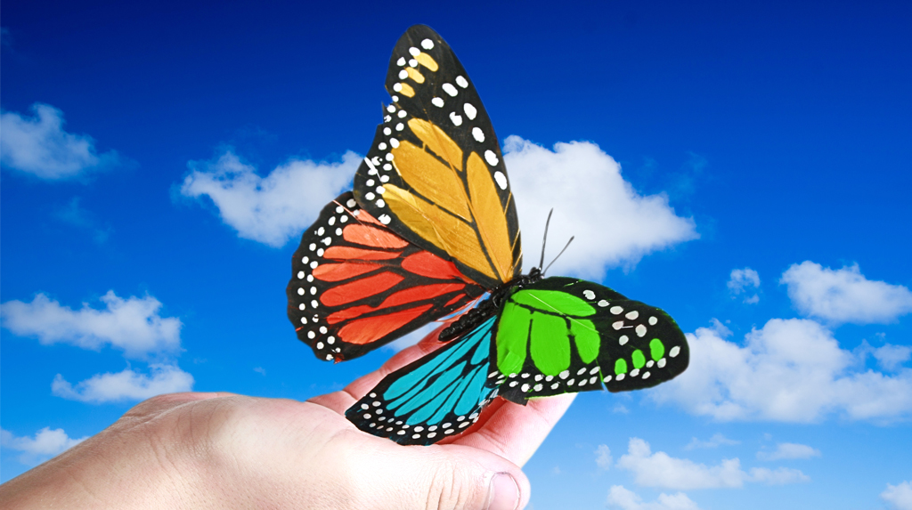 The BEST Partnership Program