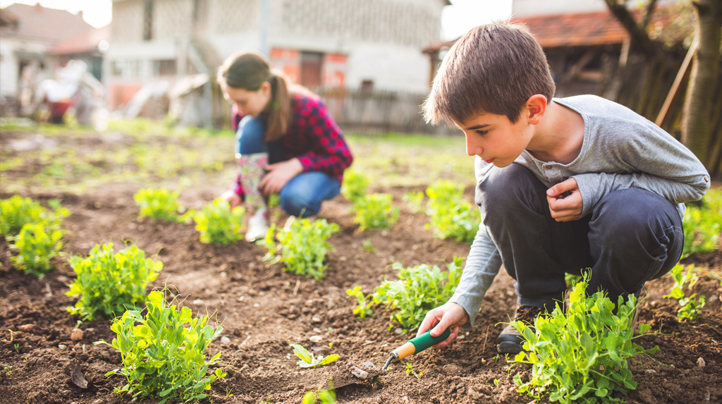 The Common Instrument Suite