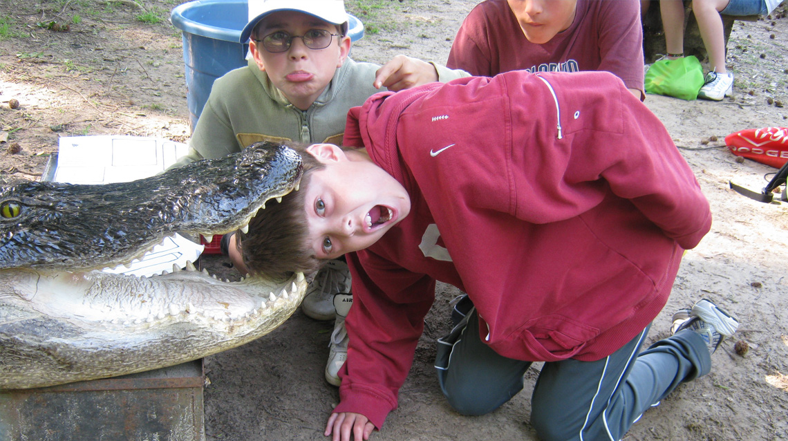 Working Together for Test Success