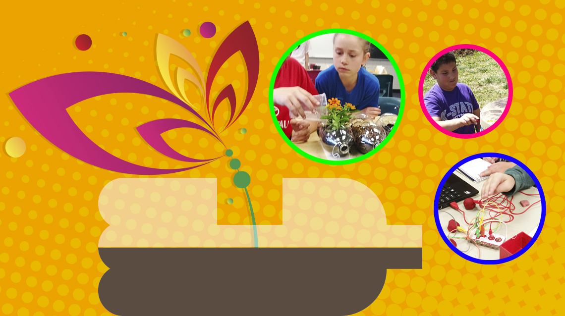 Professional Development Disguised as Museum Outreach