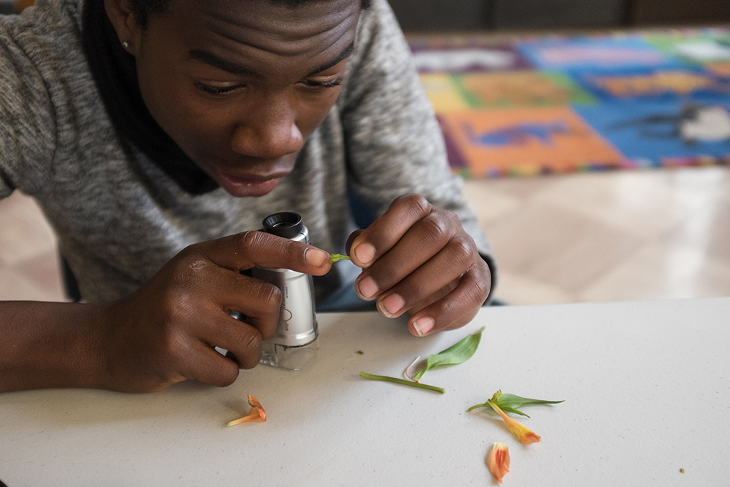 STEM Learning Ecologies