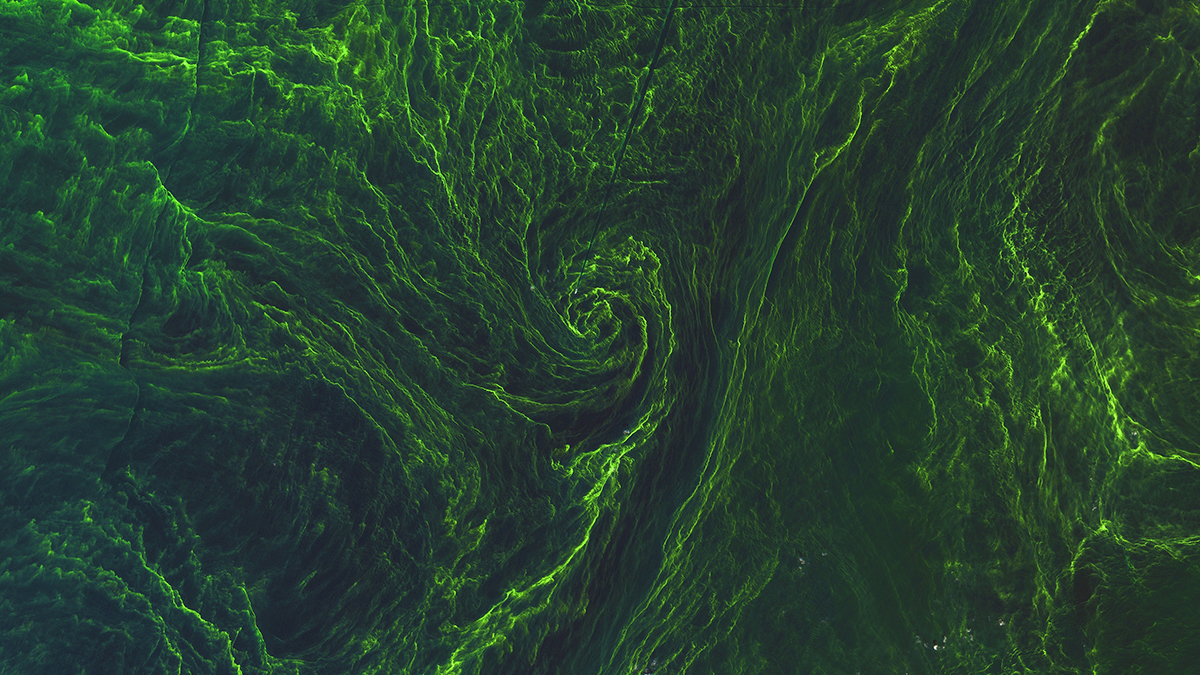 Messy Data, Real Science