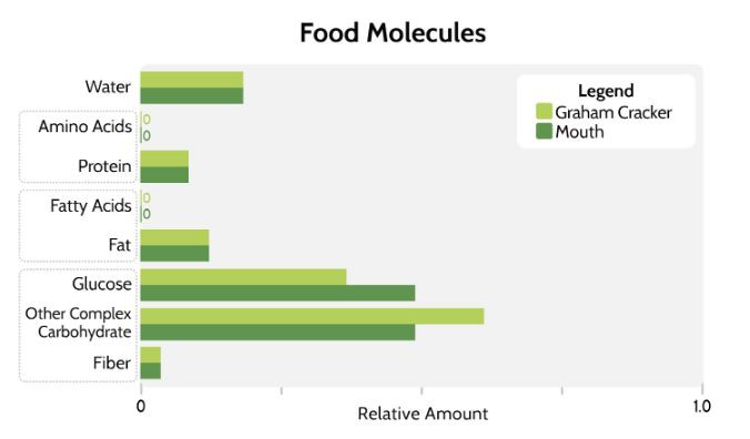Graham Cracker to Mouth