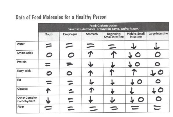 Data of Food Molecules for a Healthy Person