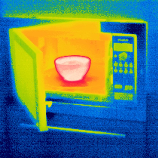 Heat Image of Bowl in Microwave (Bowl is Red, Microwave Interior is Yellow)