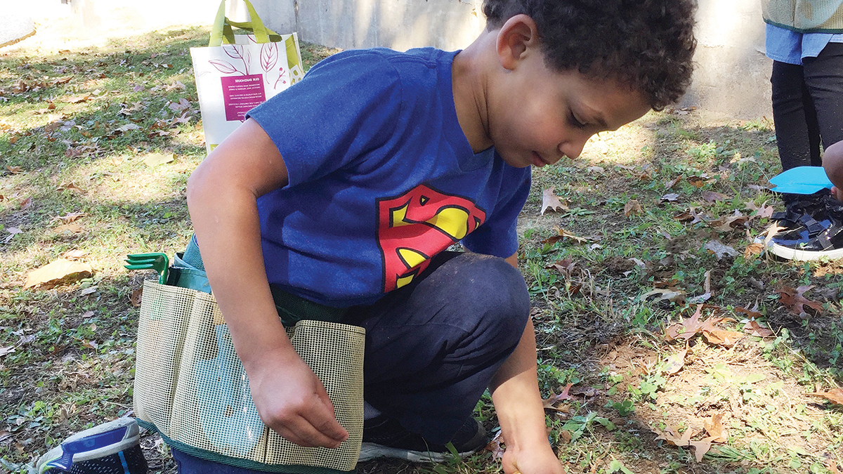 Shape, Bake, and Grow!