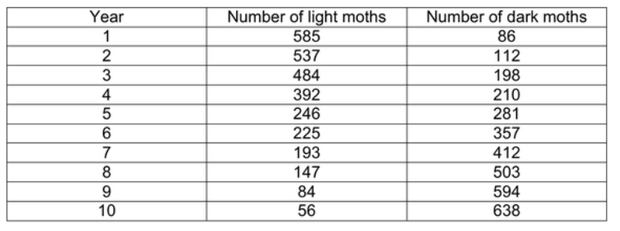 10 Year Chart of Number of Light Moths and Number of Dark Moths 