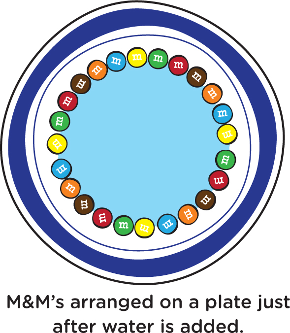 M&M’s arranged on a plate just after water is added.