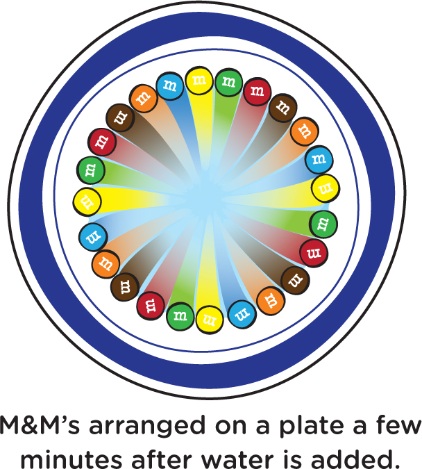 M&M’s arranged on a plate a few minutes after water is added.