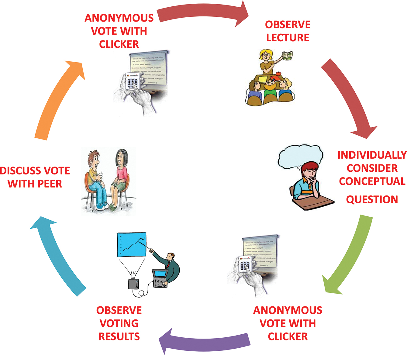 The Peer Instruction (PI) cycle. 