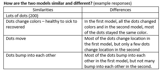 Similarities and Differences