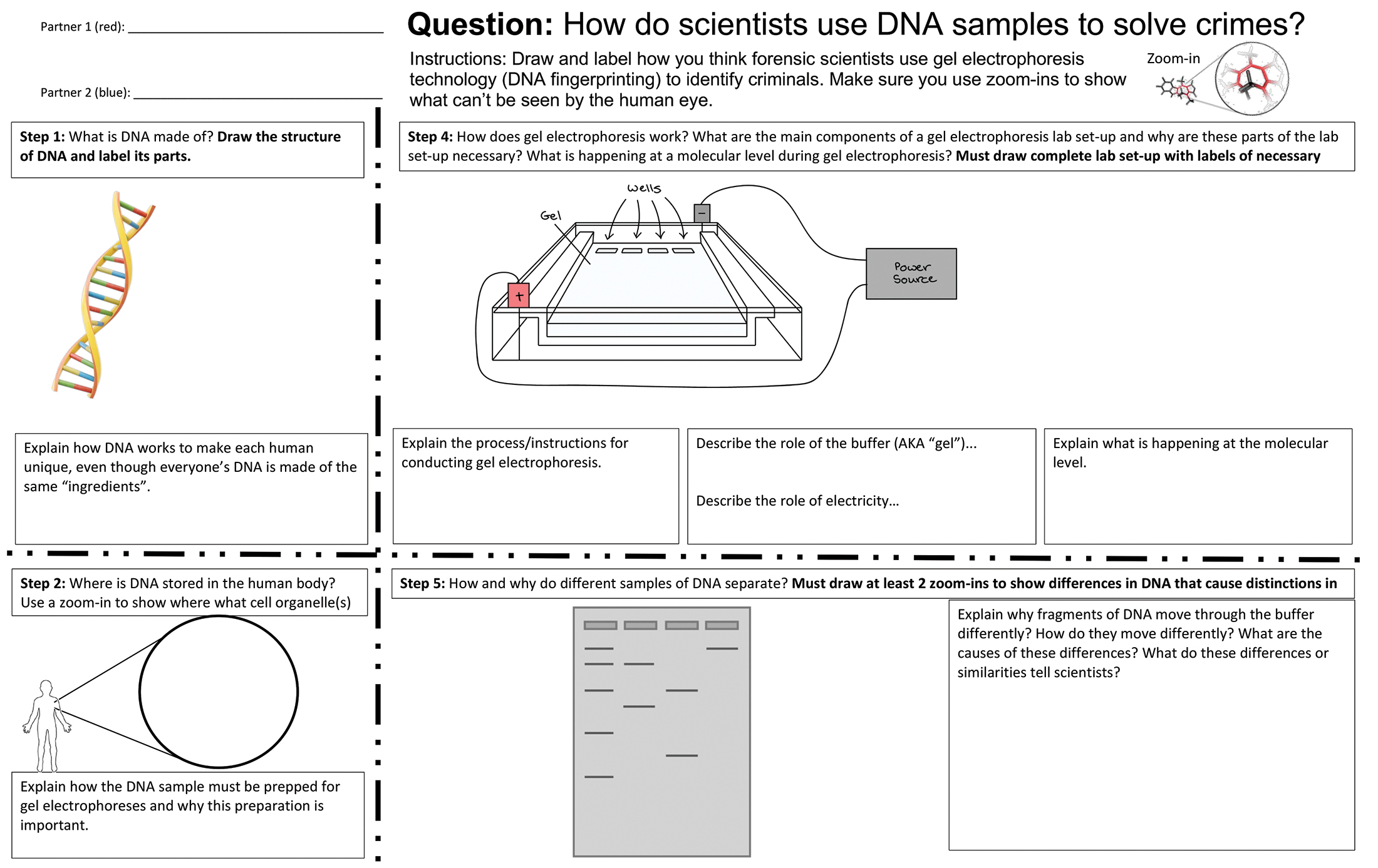 Example of a “worksheety” model template.