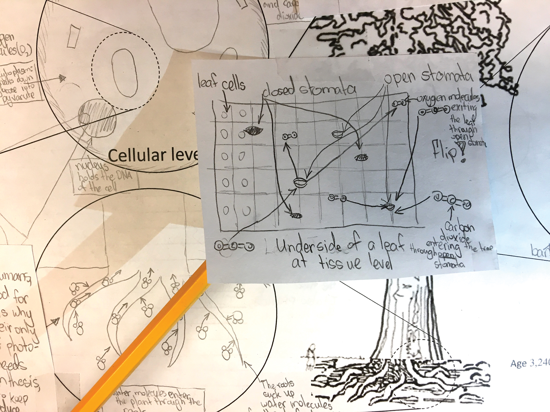 Big-picture layout with elements and student work.