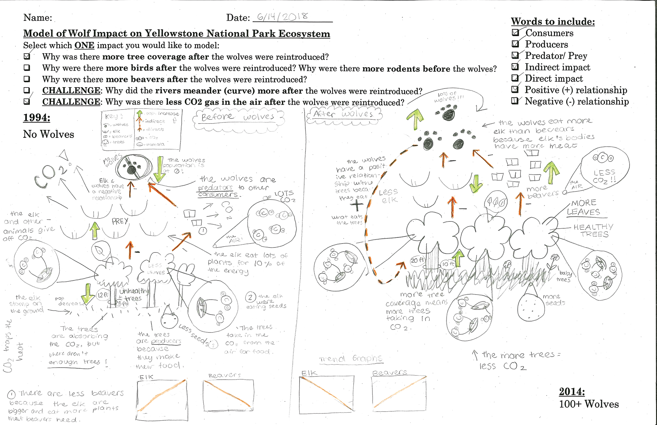 Comparative layout with tools and student work.