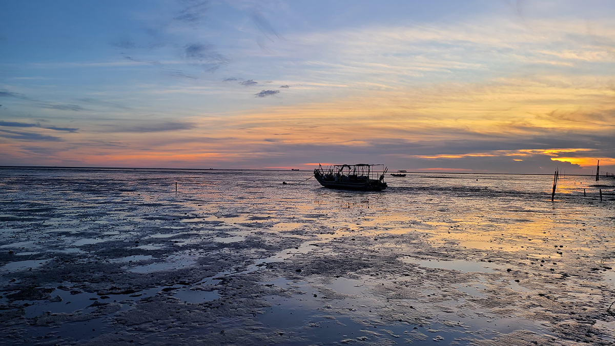 Mapping Stakeholders