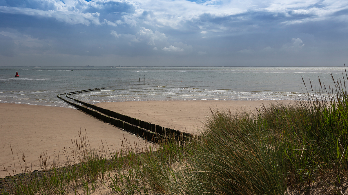 Connecting With Community