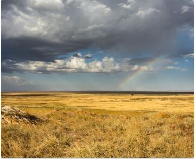 Field with a Rainbow and gray clouds