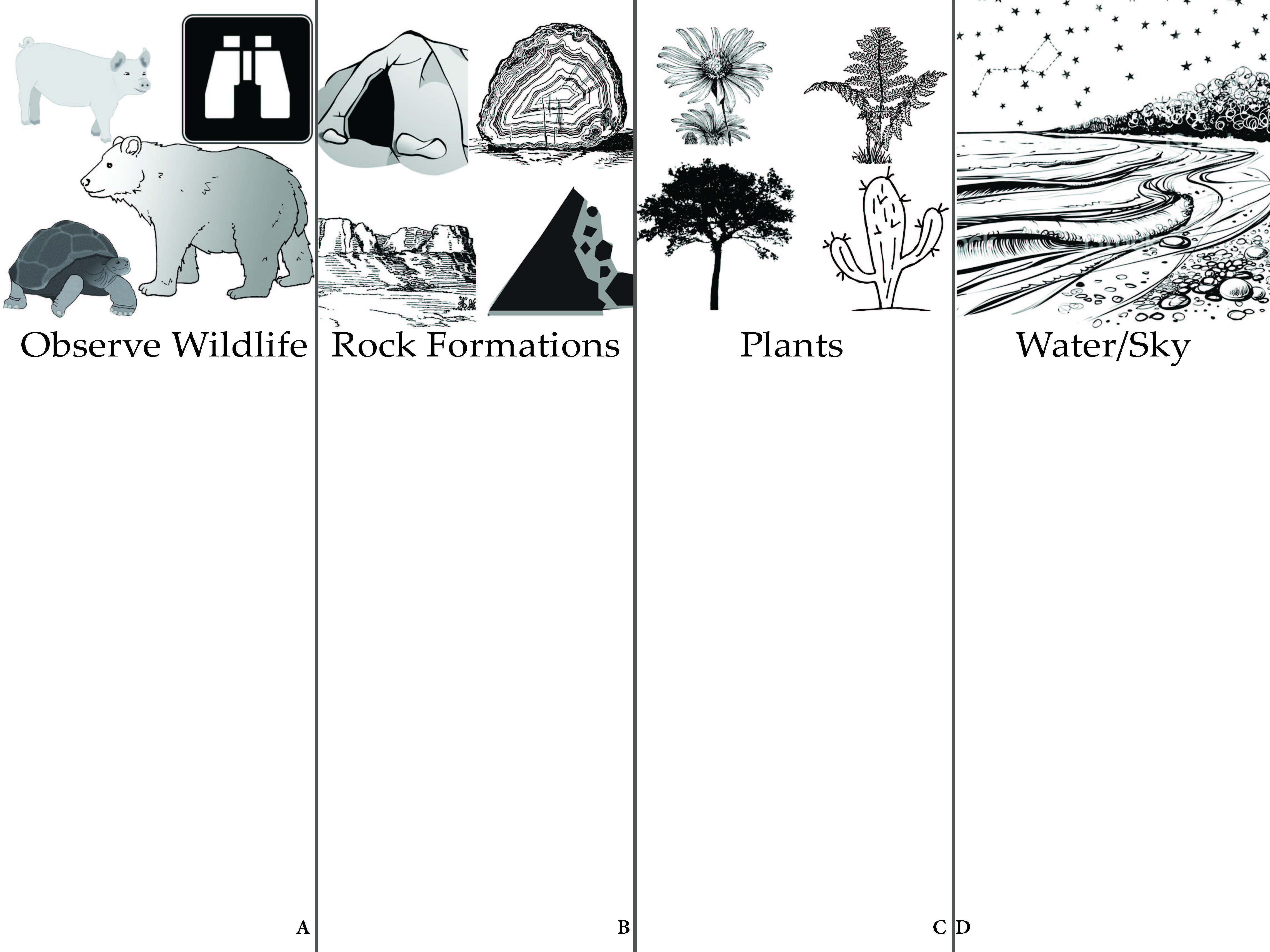 Figure 1a