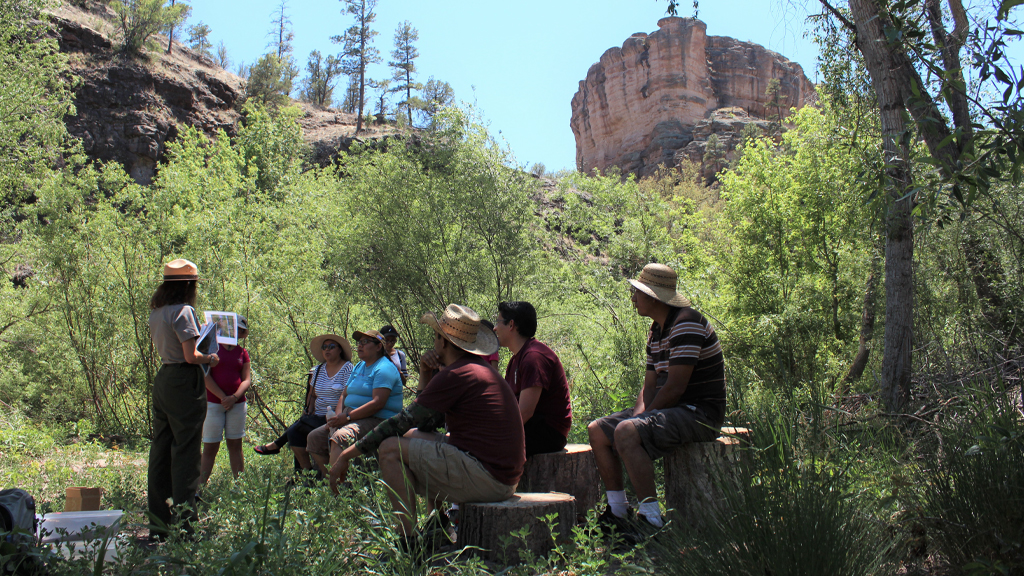 Connecting Field Trips and Family Interest:  A Tool to Elicit English- and Spanish-Speaking Families’ Interests