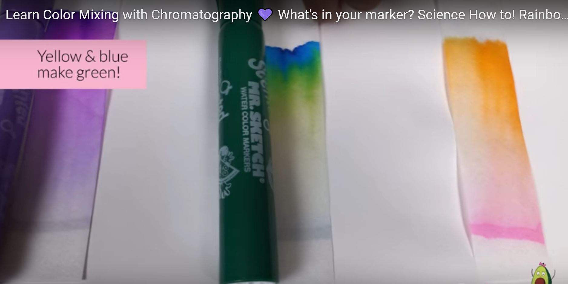 Chromatography strips
