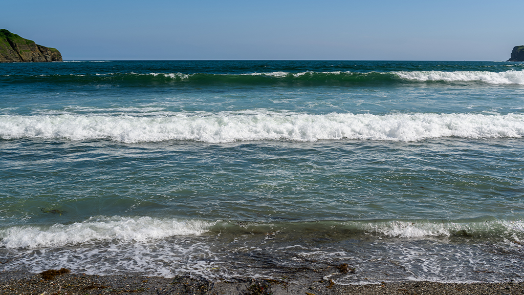 Enhancing Environmental Identity: The Ocean Guardian Project