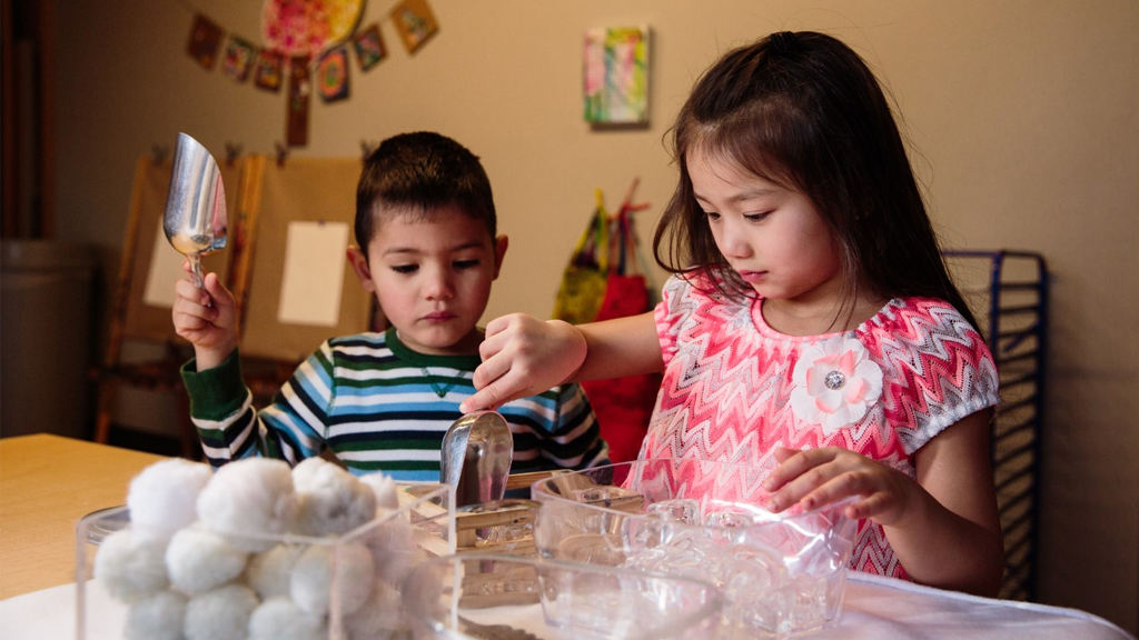 Multilingual Families and Field Trips