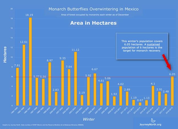 Monarch Butterfly Overwinter Population