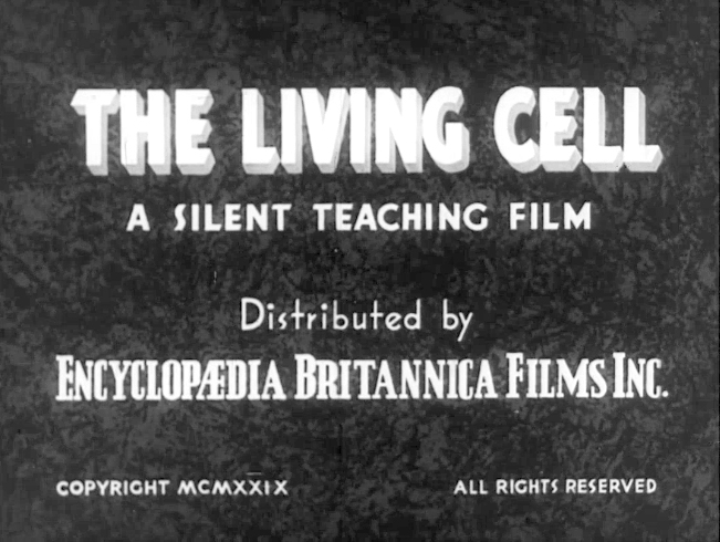 Exploring Cell Biology Through a Silent Teaching Film From 1929