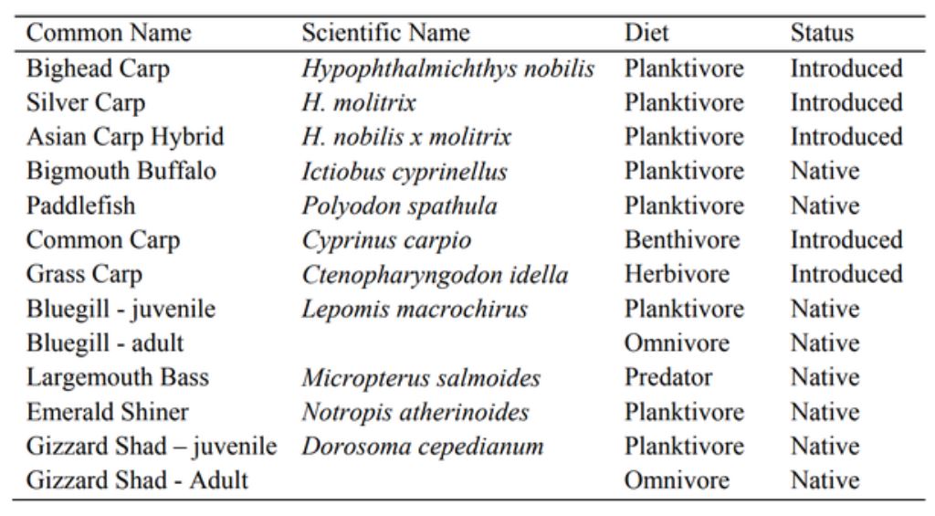 Data Table what fish eat