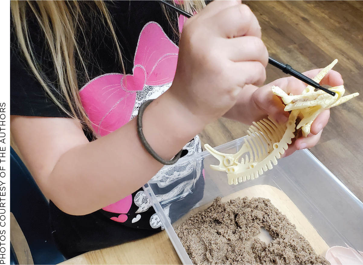 A student uses tools to clean uncovered bones.
