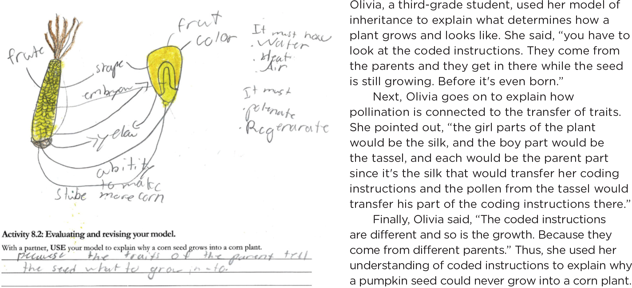 Olivia’s model of inheritance and explanation.
