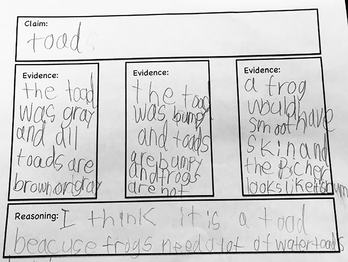 Example of a Claims Evidence and Reasoning chart.