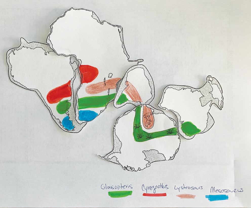 Example of a completed version of Wegener’s continents