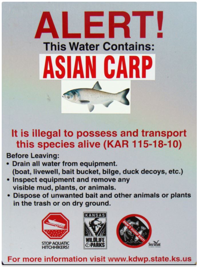 Asian carp warning sign