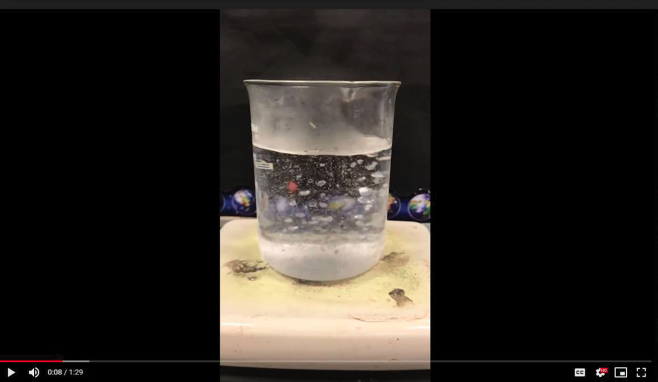 |	FIGURE 2: The slow-motion video of boiling water helped learners refine their understanding of a natural phenomenon. 