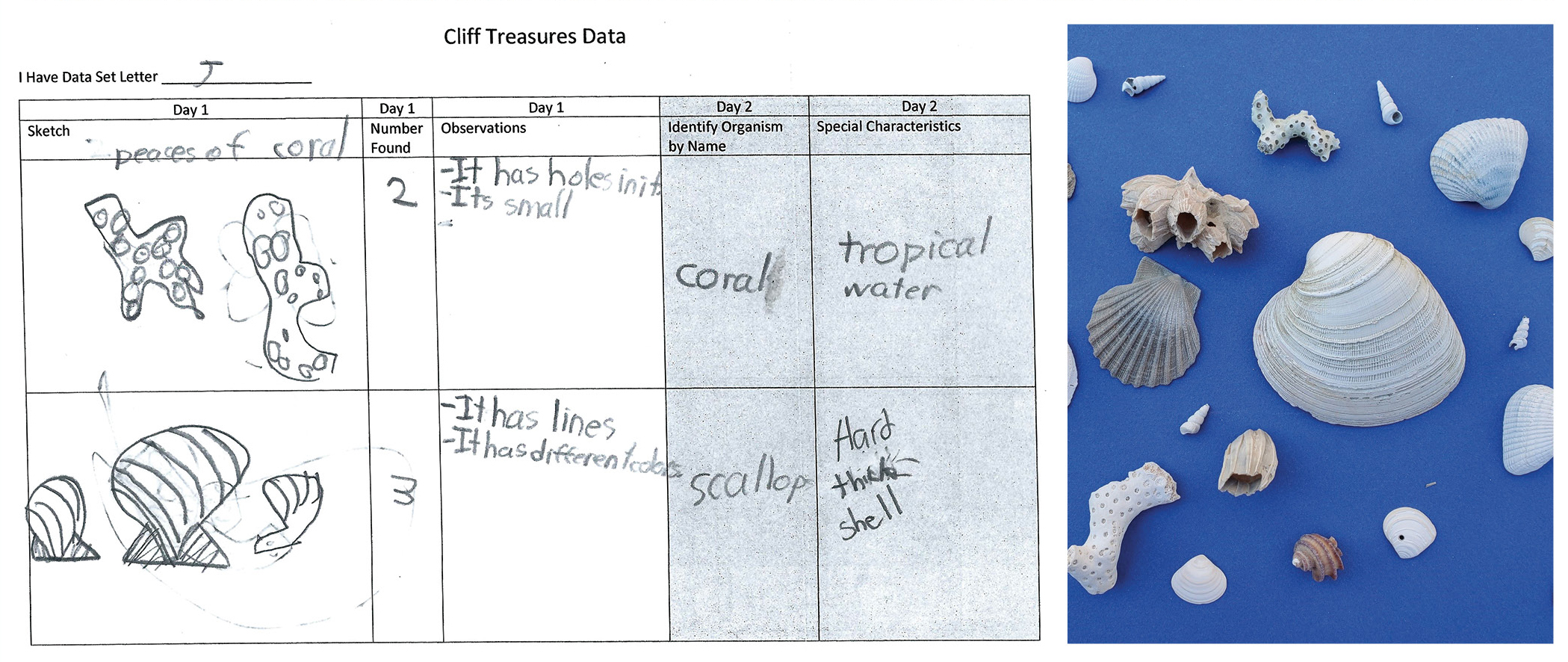 Student data collection example.