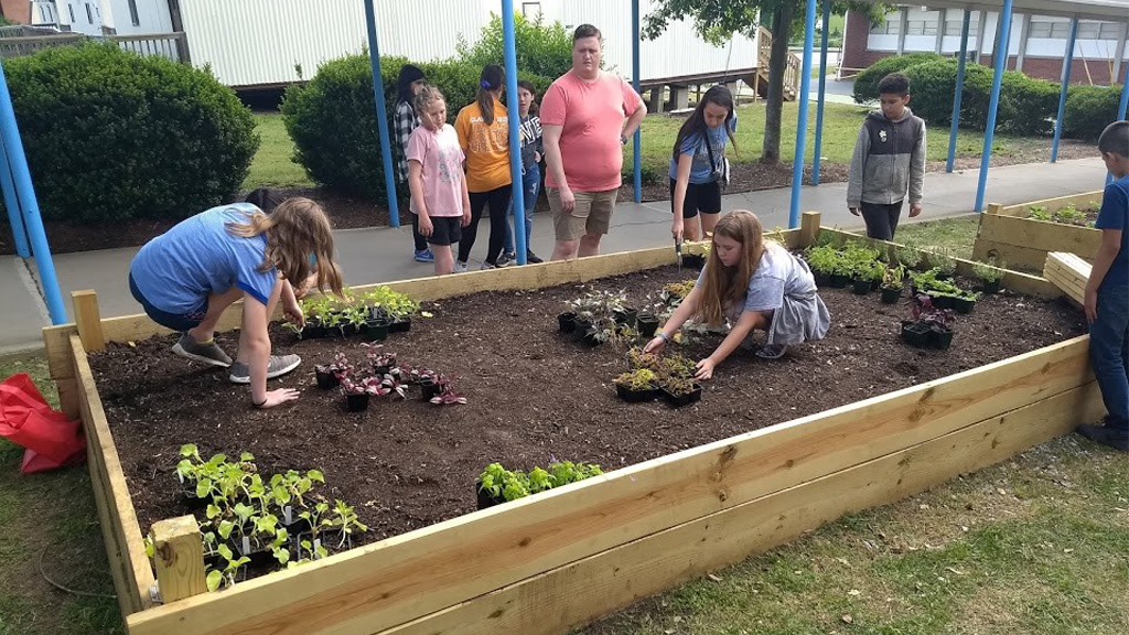 Balancing Individual and Collective Agency in Informal STEM Learning Experiences