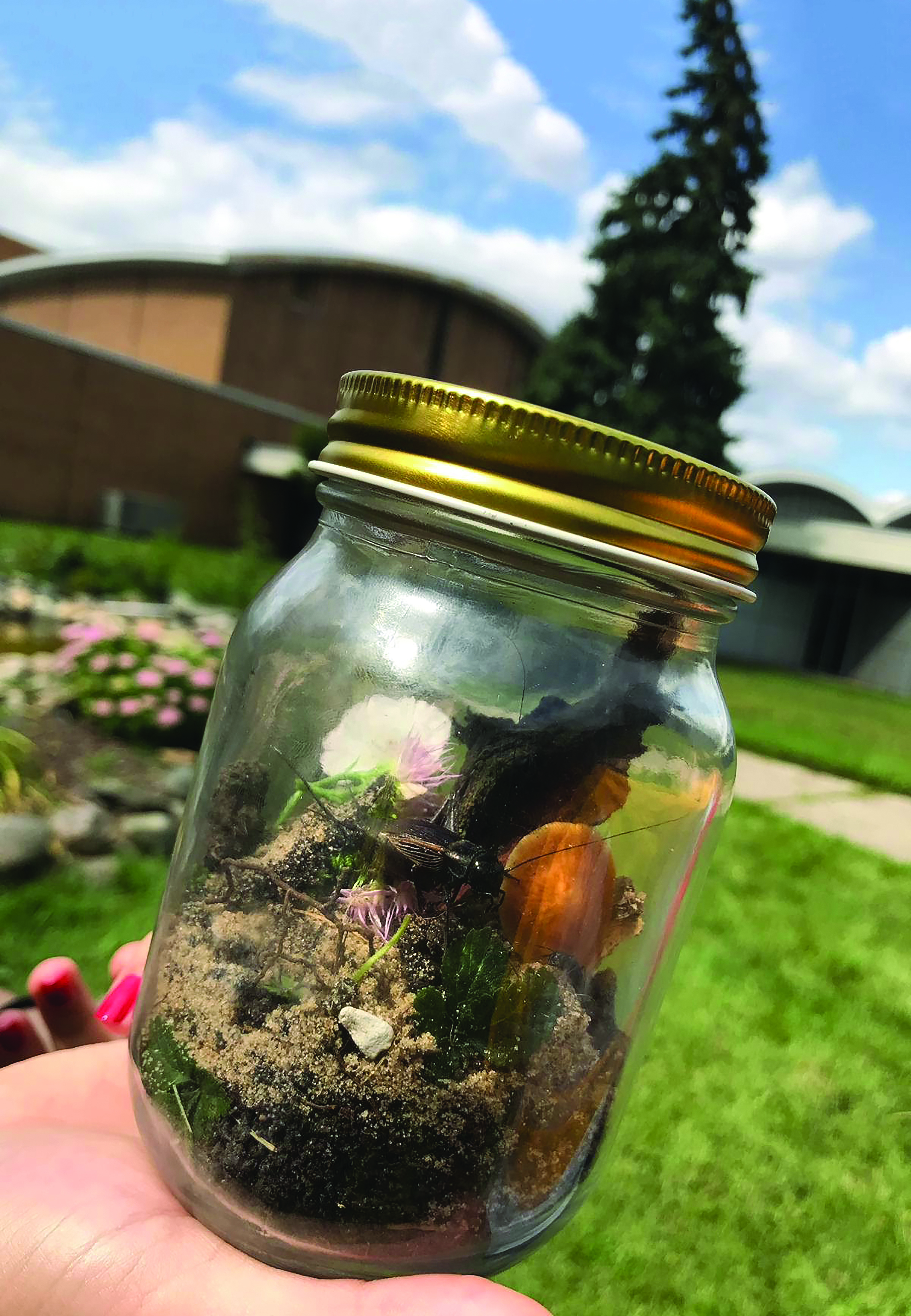 Ecosystem in a Jar