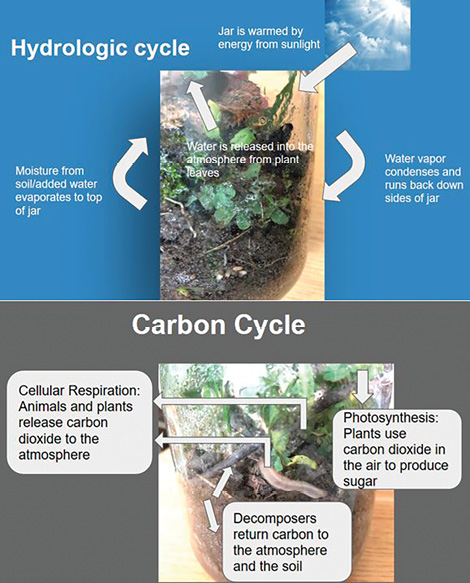 Student work example: Cycles