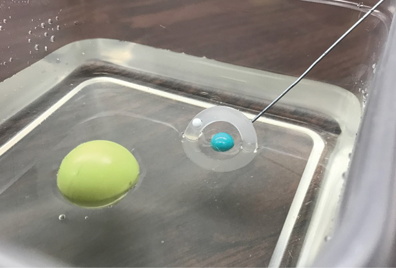 |	FIGURE 7: Corn syrup model with moon’s inclined orbit. Moon is attached to a disk and submerged halfway into the level of the corn syrup with Earth at center.