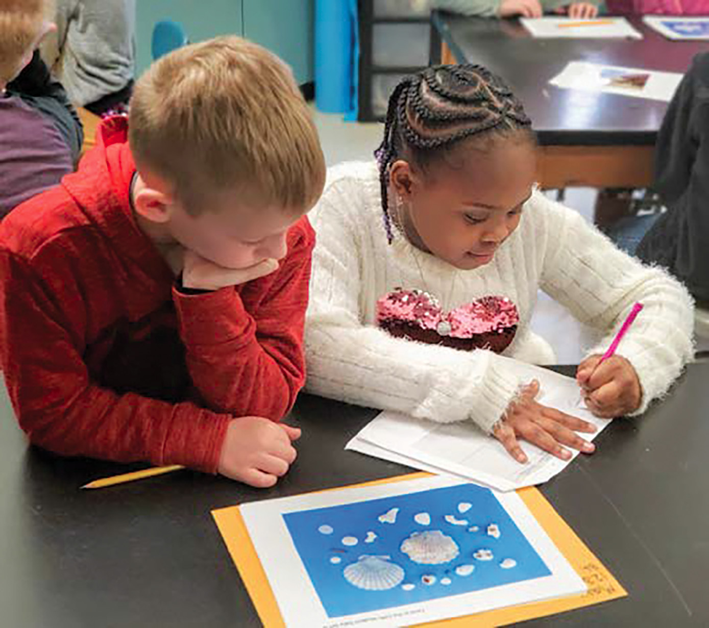 Students draw sketches of fossils and record data.