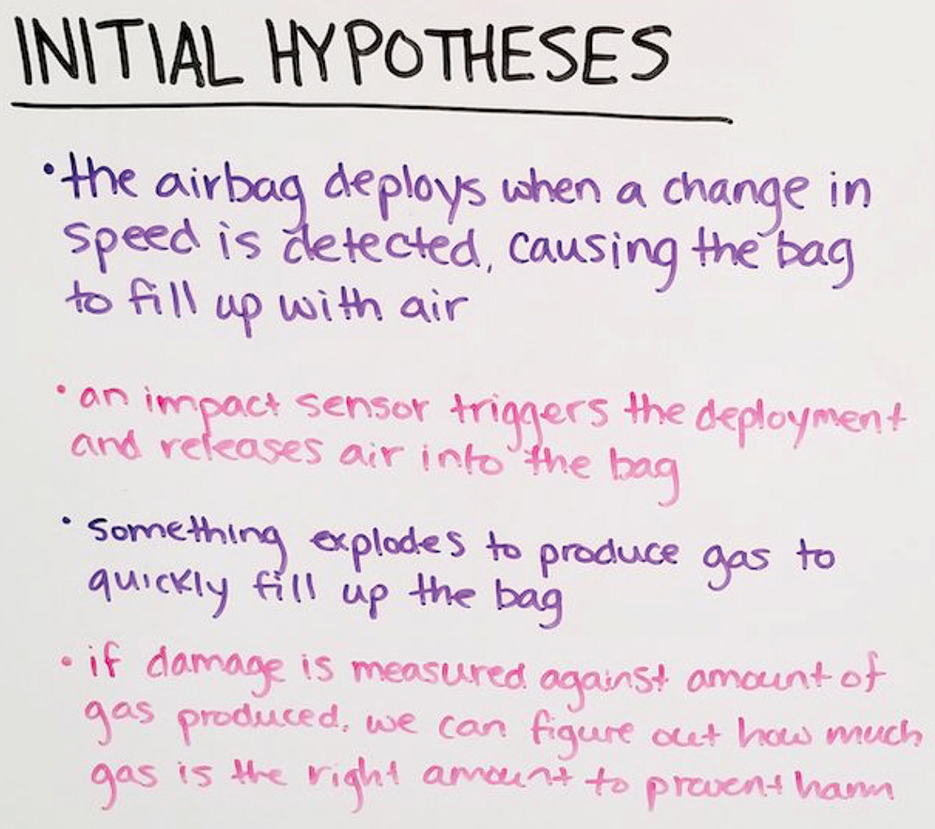 Initial hypotheses developed by students.