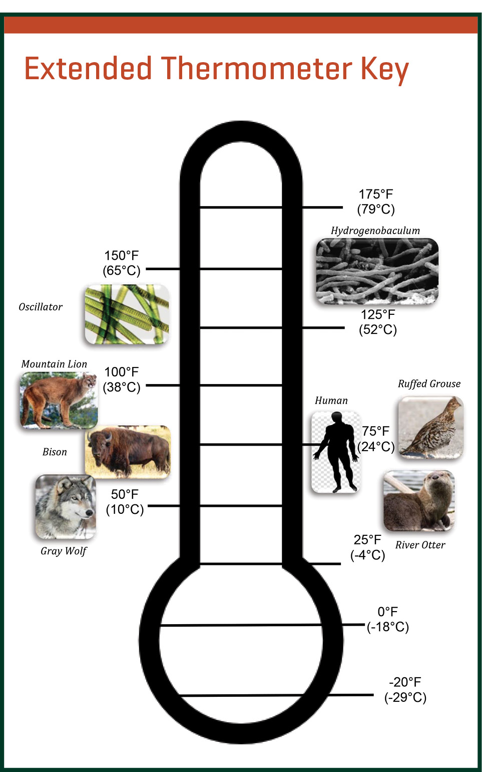 extended thermometer key